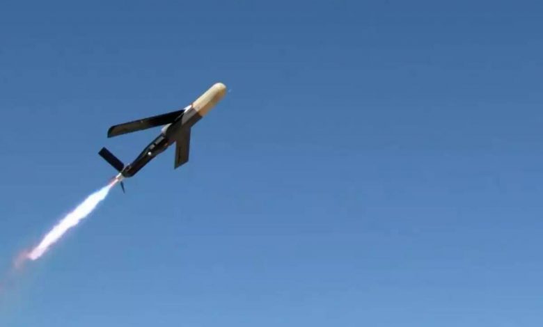 تماشا کنید: پهپاد آمریکایی کایوت با سلاح الکترومغناطیسی اهداف پهپادی را سرنگون میکند