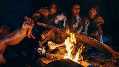 تکامل زیر فشار آتش؛ سوختگی‌های مکرر در تغییر ژن‌های انسان اثرگذار بود