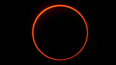 حلقه آتش برفراز جنوبگان؛ خورشیدگرفتگی حلقوی برای دانشمندان و پنگوئن‌ها از راه رسید