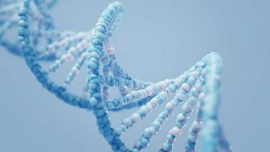 راز عمر طولانی، نهفته در ژن‌های ما