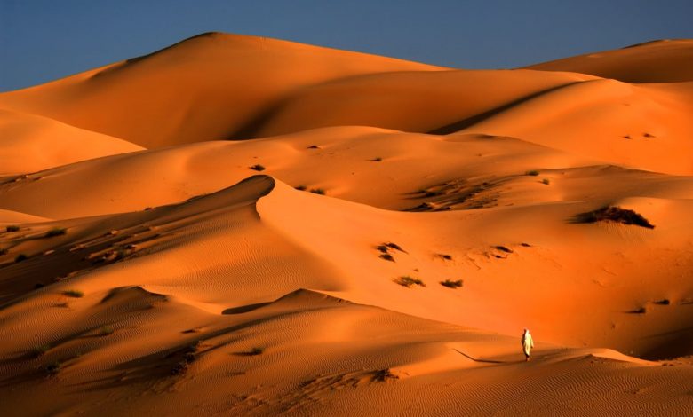ردپای گمشده انسان خردمند؛ اجداد ما ۱۰۰هزار سال پیش در فتح جهان ناکام ماندند