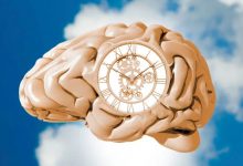 ساعت بیولوژیکی چگونه خطر چاقی و بیماری را افزایش می‌دهد؟