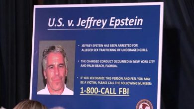 سند وزارت دادگستری: هکر ایتالیایی جفری اپستین چه کسی بود؟