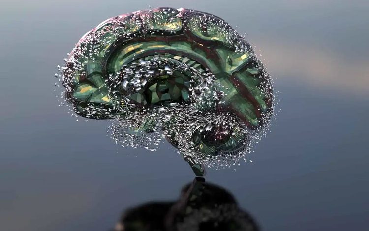 فقط ۲٪ کمآبی؛ تهدیدی جدی برای عملکرد مغز