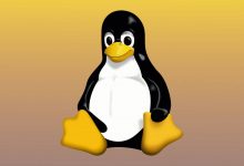 لینوکس ۶٫۱۹ در دسترس قرار گرفت؛ بهبود ۳۰ درصدی عملکرد گرافیک‌های قدیمی ای‌ام‌دی