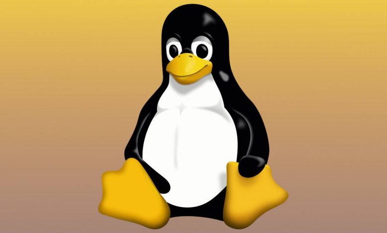 لینوکس ۶٫۱۹ در دسترس قرار گرفت؛ بهبود ۳۰ درصدی عملکرد گرافیک‌های قدیمی ای‌ام‌دی