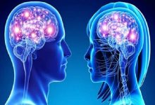 ناحیه‌ای یکسان از مغز که در زنان و مردان «متفاوت» کار می‌کند!