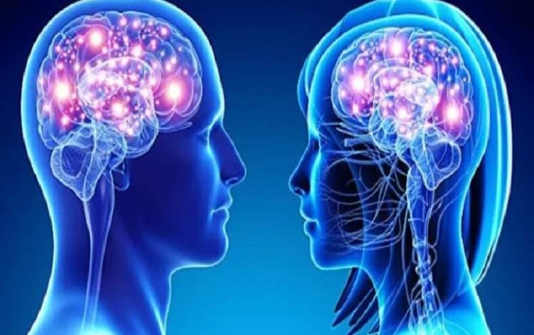 ناحیه‌ای یکسان از مغز که در زنان و مردان «متفاوت» کار می‌کند!