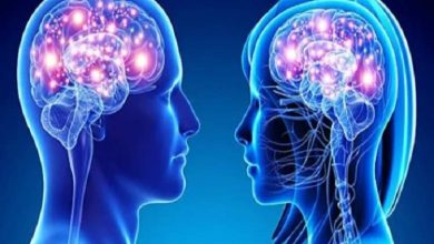ناحیه‌ای یکسان از مغز که در زنان و مردان «متفاوت» کار می‌کند!