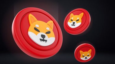 نیپوتو | شیبا اینو (SHIB): از میم‌ کوین محبوب تا اکوسیستم چندوجهی در جهان رمزارزها