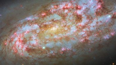 هابل از یک کهکشان مارپیچی توفانی و پرستاره رونمایی کرد