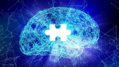 هشدار پژوهشگران: زبان انسان‌گونه درباره هوش مصنوعی گمراه‌کننده است