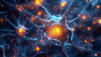 پژوهش جدید: یک دوز روان‌گردان دی‌ام‌تی علائم افسردگی را برای ماه‌ها کاهش داد