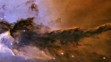 پژوهشگران کشف کردند: ساختارهای اولیه حیات در فضای عمیق تشکیل می‌شوند