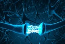 چگونه مغز بین «خاطره‌های شخصی» و «واقعیت‌ها» تفاوت می‌گذارد؟