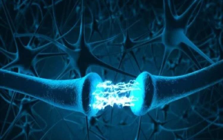 چگونه مغز بین «خاطره‌های شخصی» و «واقعیت‌ها» تفاوت می‌گذارد؟