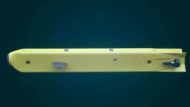 کابوس زیر دریا؛ این «شهپاد» به کشتی‌ها می‌چسبد و آن‌ها را شکار می‌کند