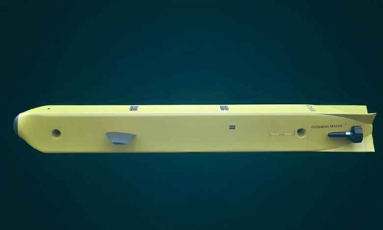 کابوس زیر دریا؛ این «شهپاد» به کشتیها میچسبد و آنها را شکار میکند