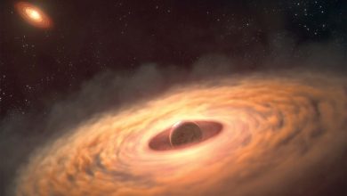 کشف تازه تلسکوپ جیمز وب: غول‌های گازی بسیار بزرگ نیز مثل سایر سیاره‌ها متولد می‌شوند