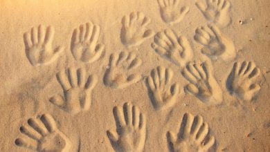 کشف حس لامسه فراتر از پنج حس: انسان‌ها قادر به تشخیص اشیاء از راه دور هستند