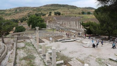 کشف داروی عجیب باستانی؛ رومیان از مدفوع برای درمان بیماری‌ها استفاده می‌کردند
