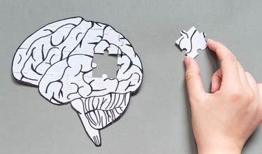 کشف روش جدید برای کند کردن افت حافظه در آلزایمر