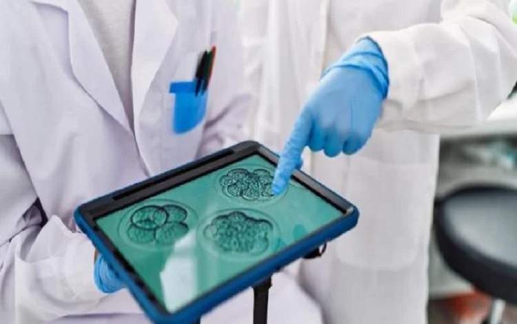 IVF ایمن‌تر، با امید بیشتر و ریسک کمتر